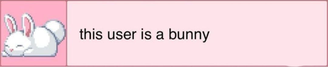 this user is a bunny